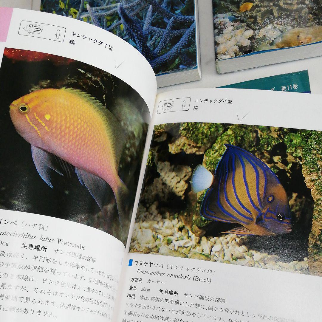 沖縄海中生物図鑑　全巻（11冊）セット。