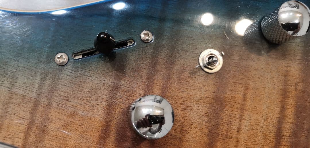 Bacchus エレキギター ローステッドメイプル指板