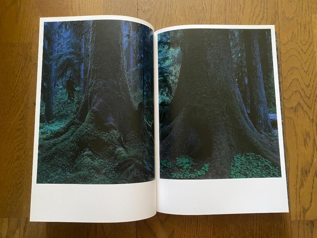 上田義彦「クゥィノルト/QUINAULT」1993年　直筆サイン入り　美品