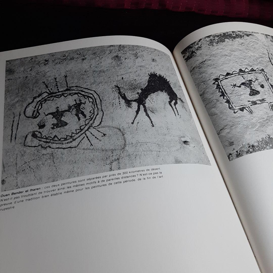 Tassili n'Ajjer タッシリ ナジェール・先史時代のアート（仏語版）