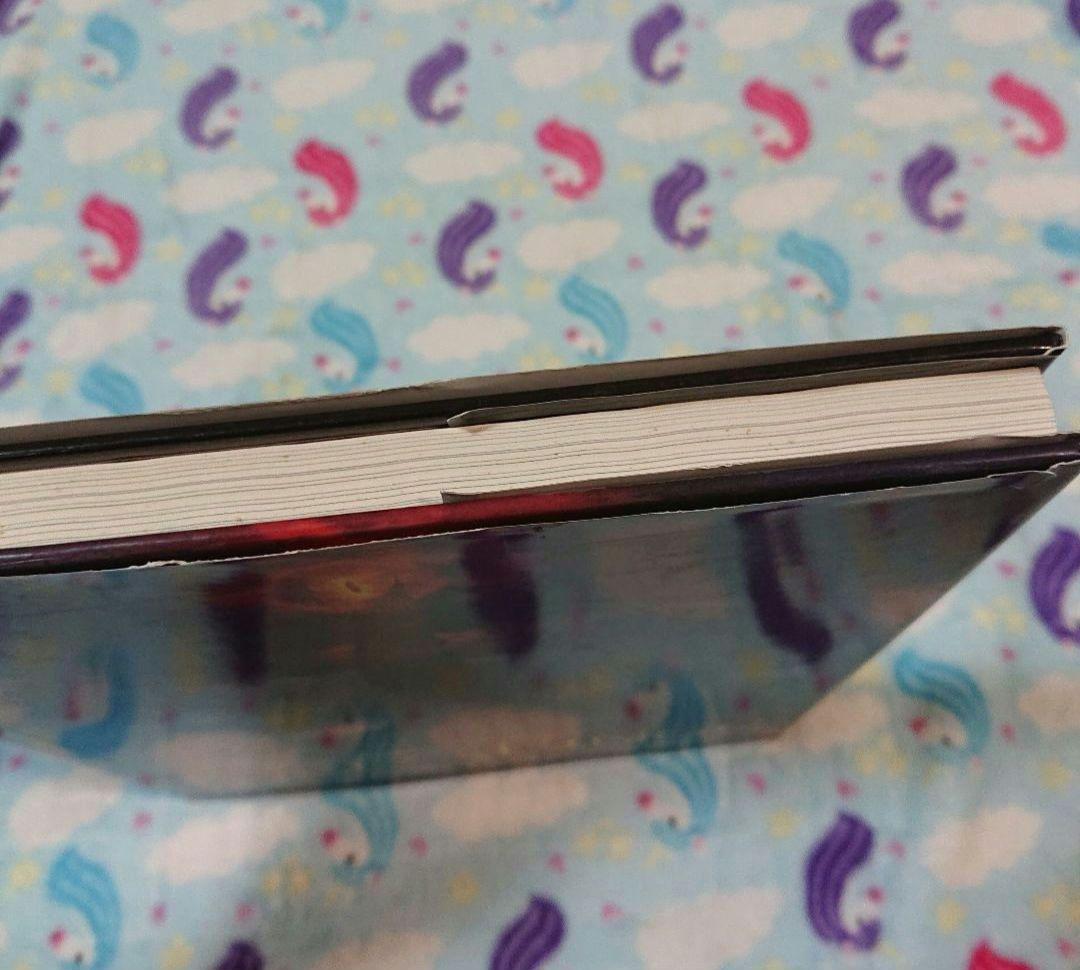 THE ART OF THE LORD OF THE RINGS 指輪物語