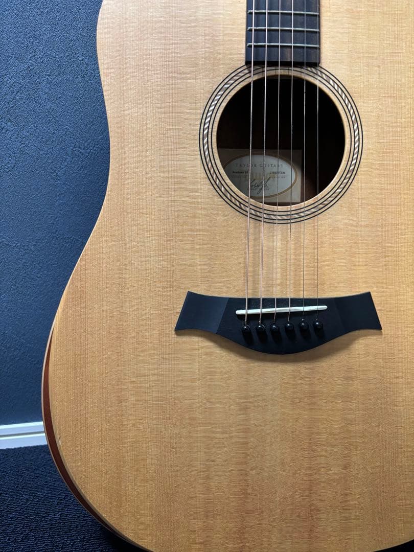 Taylor Academy 10 アコースティックギター