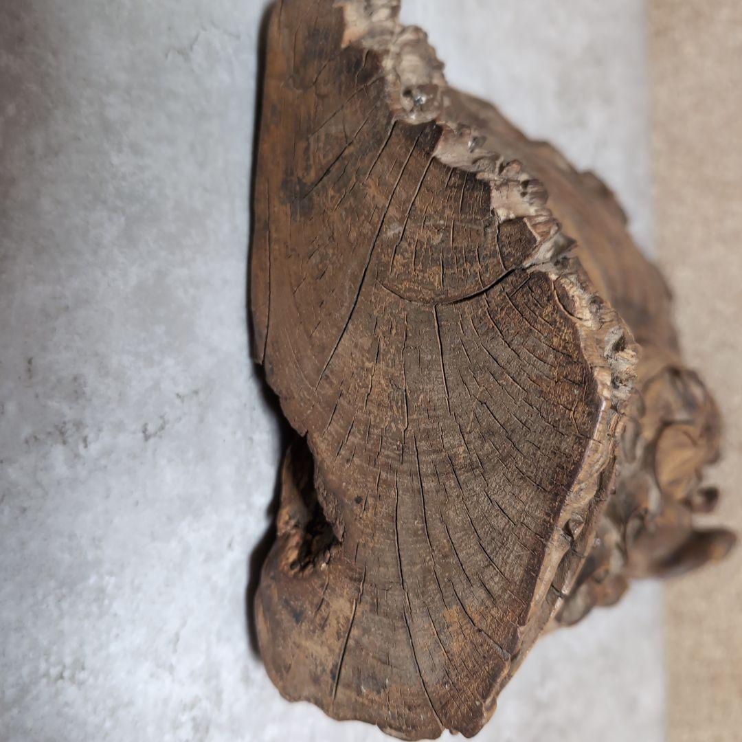 天然木 彫刻 観音像 流木造り レリーフ 木彫り 仏像 高さ36.5cm