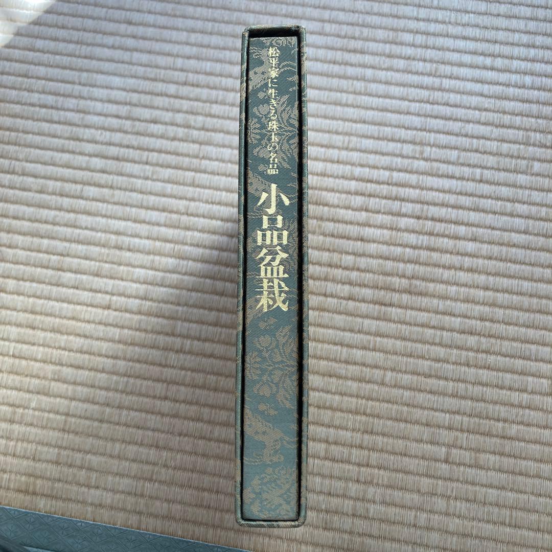 松平家に生きる珠玉の名品　小品盆栽