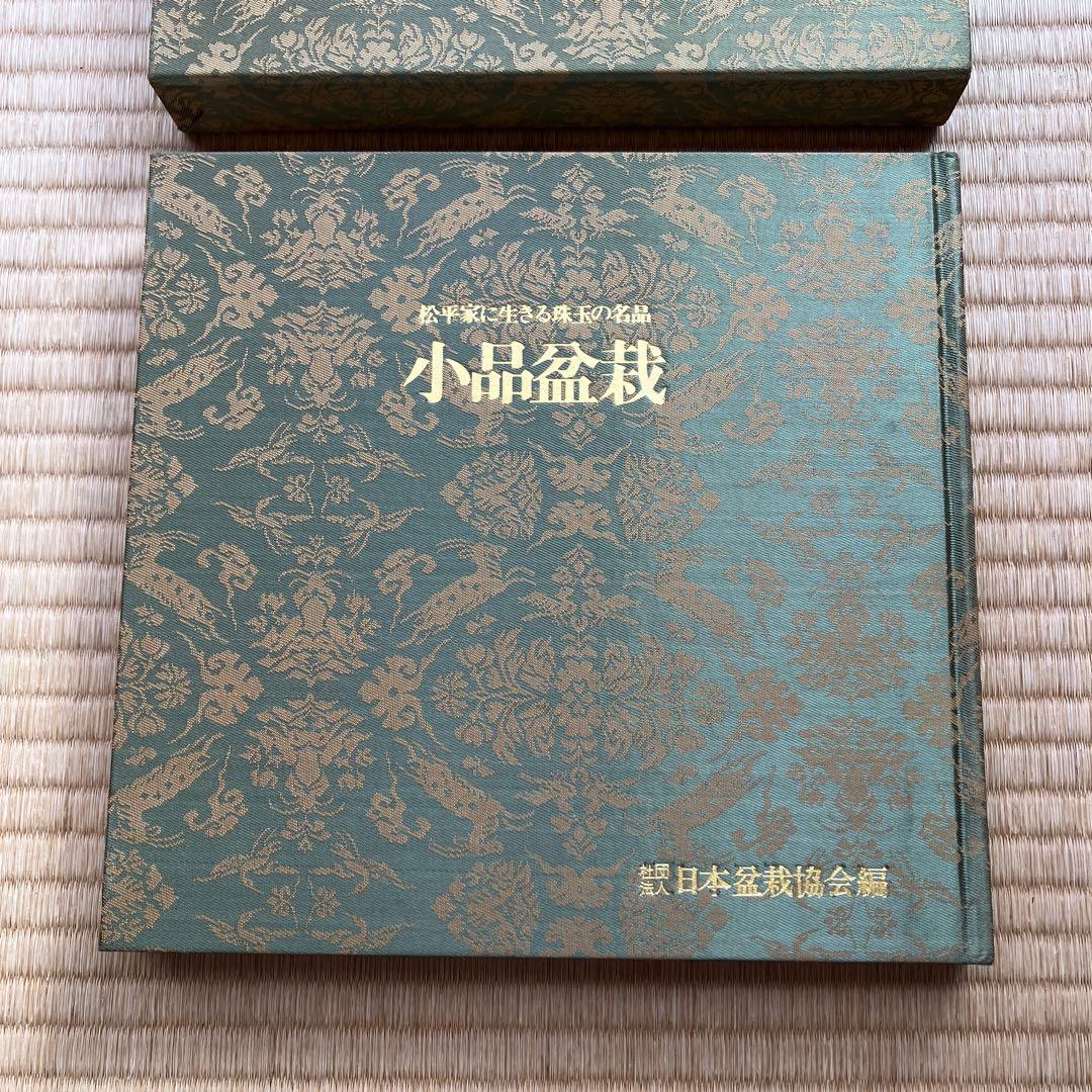 松平家に生きる珠玉の名品　小品盆栽