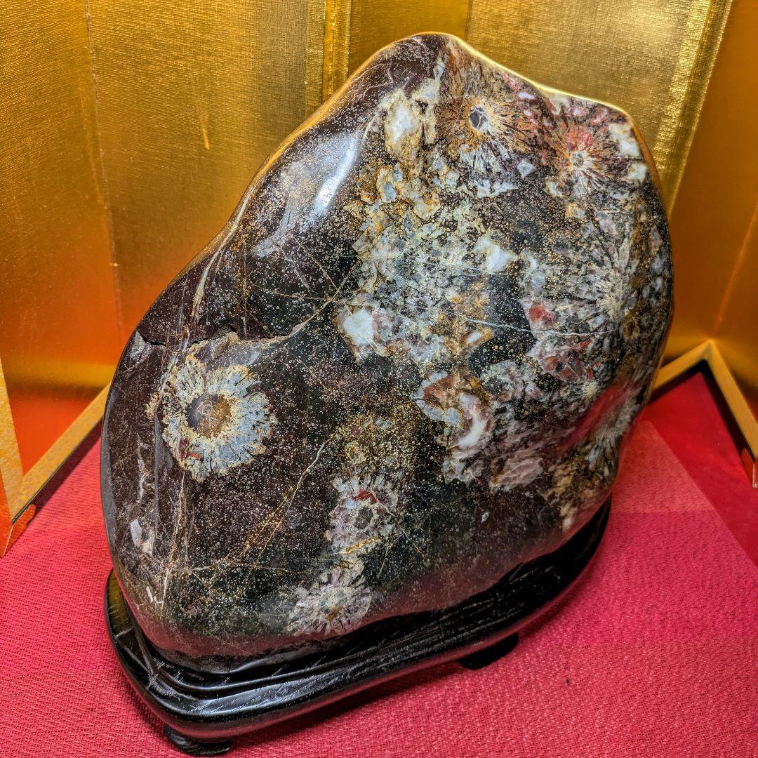 菊花石 岐阜県根尾谷産16.2㌔ 鑑賞石 観賞石 水石 盆石 天然石 置物 家宝