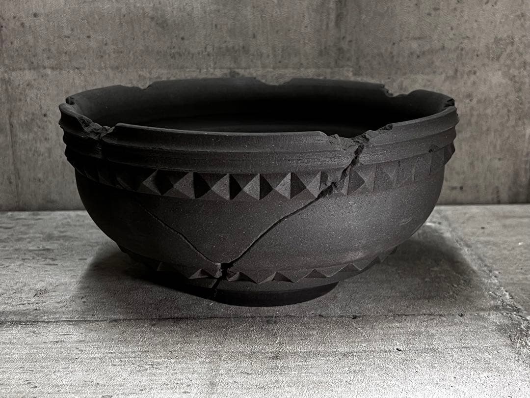 手作植木鉢 LLLサイズ 塊根植物グラキリス パキプス オペルクリカリア アガベ