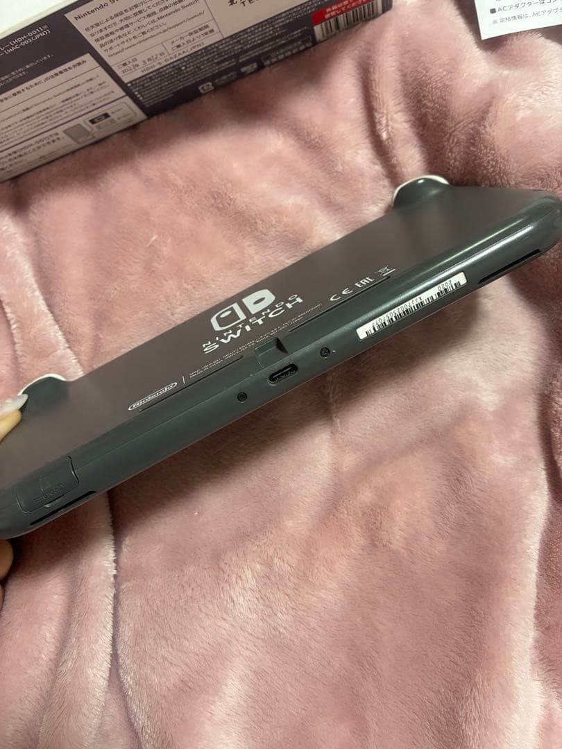 Nintendo Switch Lite スイッチライト 本体 マイクラソフト付