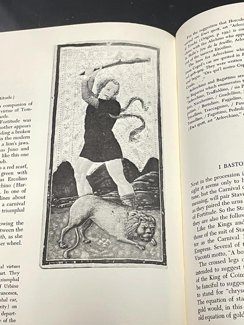 洋書 THE TAROT CARDS BY BONIFACIO BEMBO