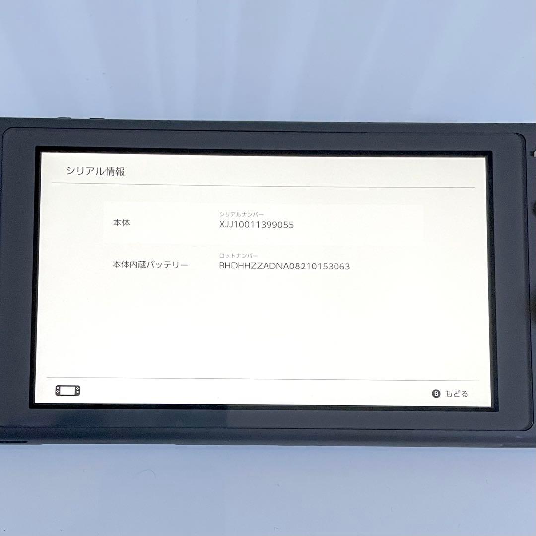 【美品】Nintendo Switch Lite グレー 本体