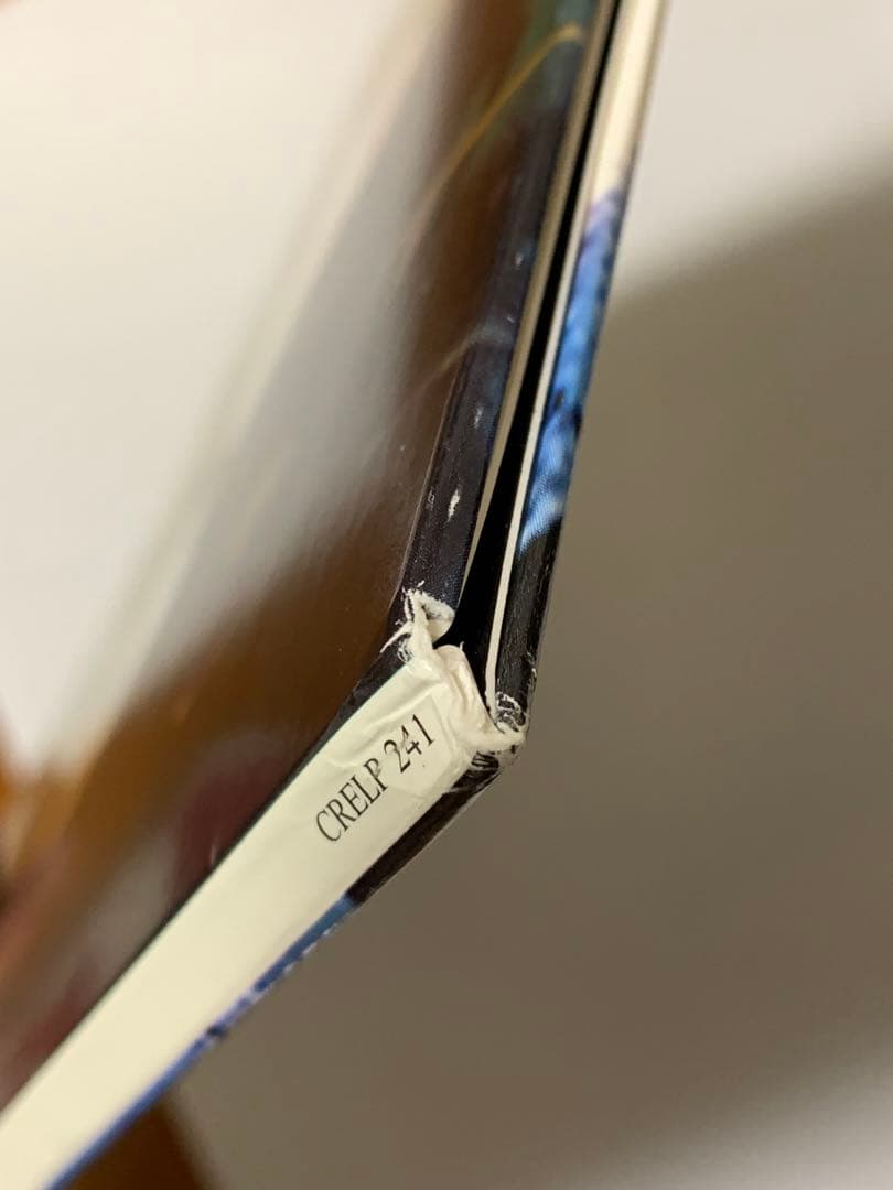 Oasis THE MASTERPLAN レコード1998年