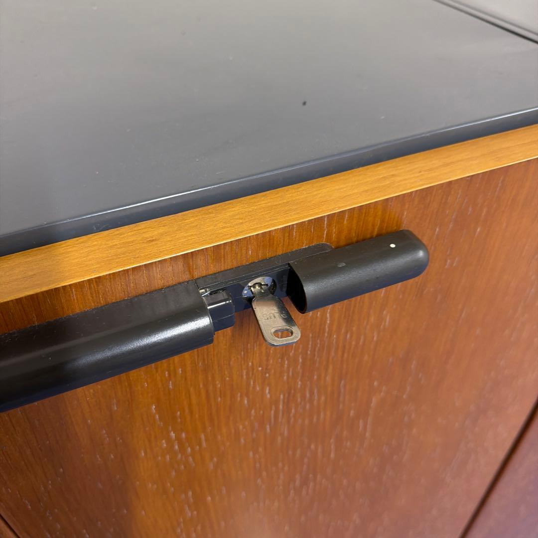 「 しんぞう 」 木製扉スチールキャビネット