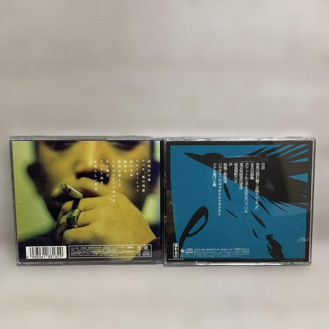 eastern youth 12枚セット