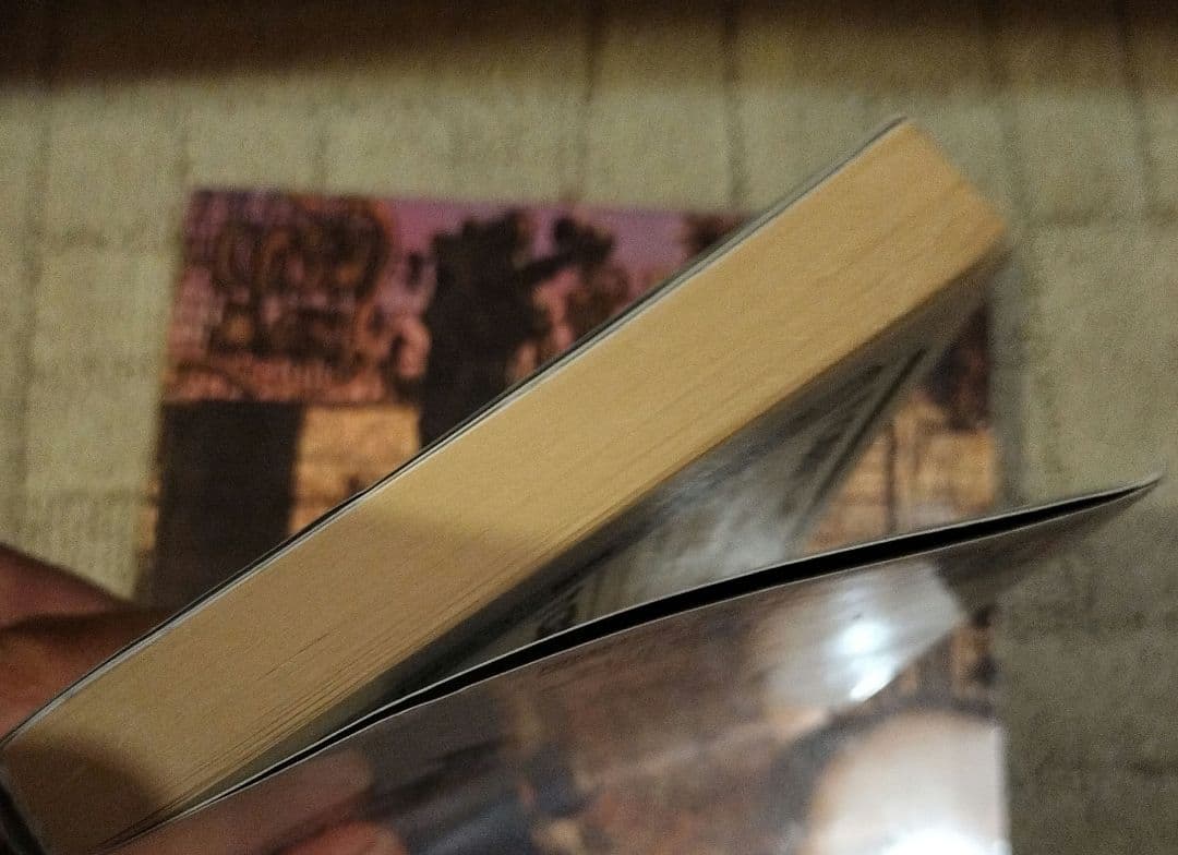 デジタルデビル物語　女神転生II　メシアプロジェクト2036 ゲームブック