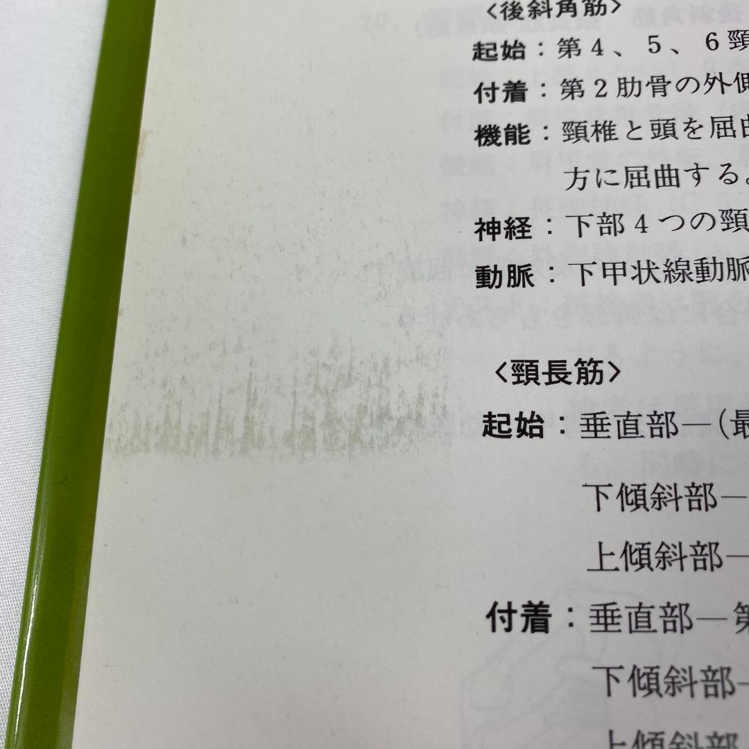 筋肉反射応用治療学 伊東聖鎬 著