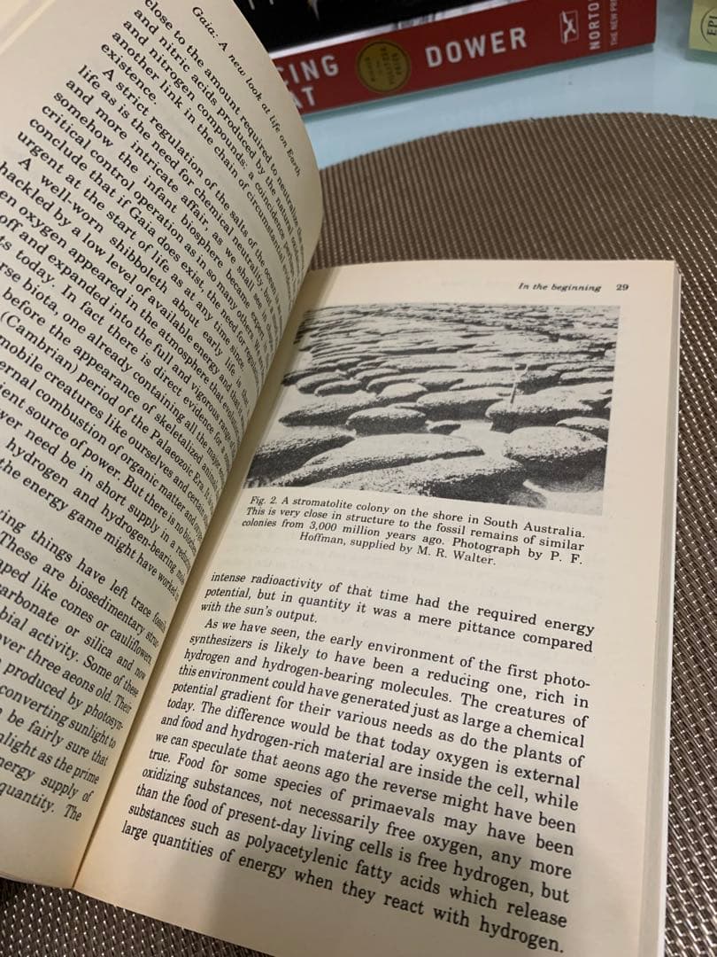 洋書 GAIA: A New Look at Life on Earth