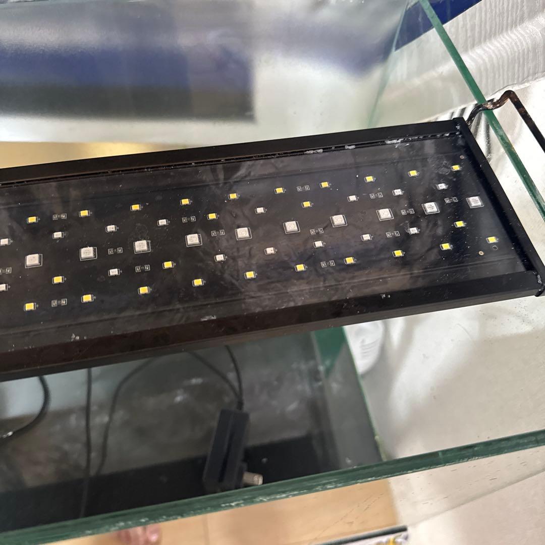 【引き取り限定】 60cmオールガラス水槽台セット