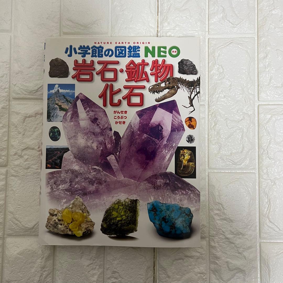 図鑑16冊セット 学研小学館NEO講談社DVD付きまとめ売り