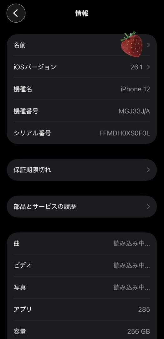 バッテリー100%iPhone12 256GBブルーMGJ33J/Aコードおまけ
