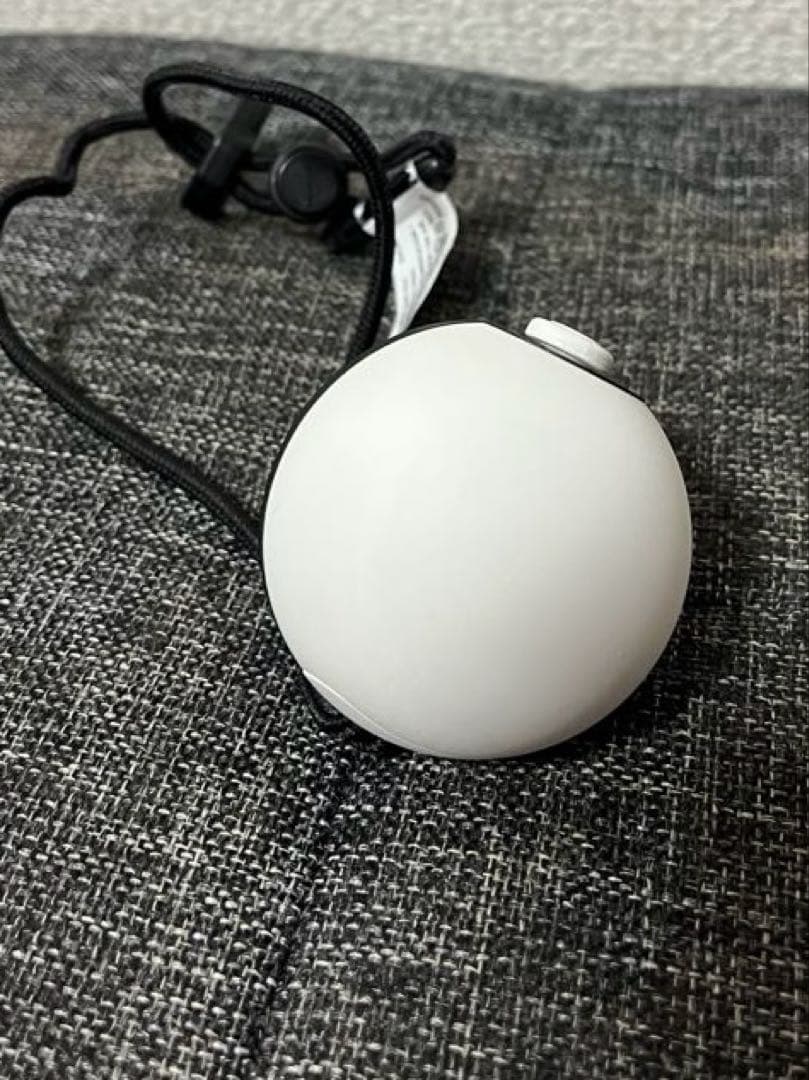 貴重Switch ポケモン　Let's Go! ピカチュウ + モンスターボール