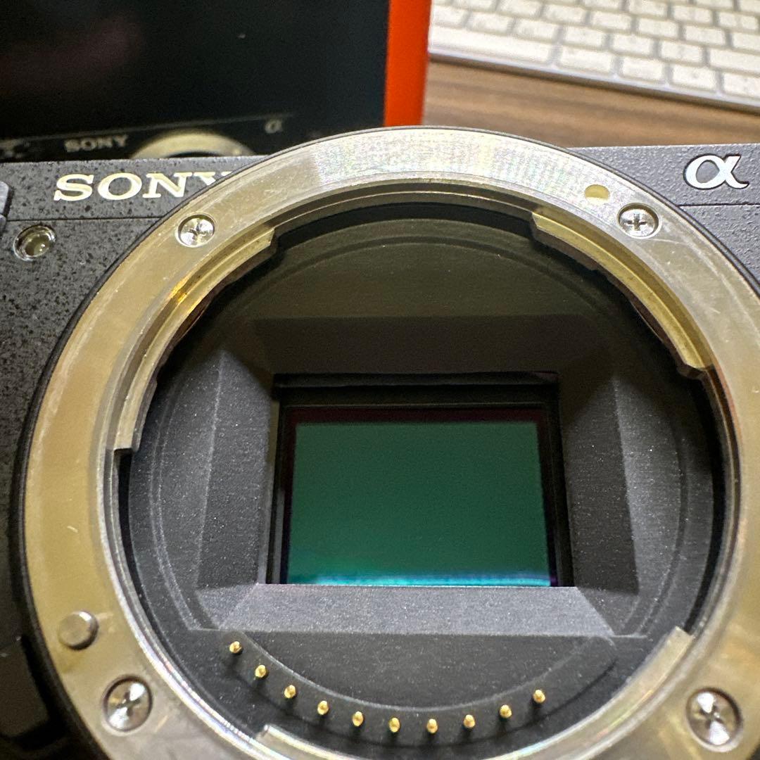 SONY α6500 ミラーレスカメラ 本体 箱あり smallrig