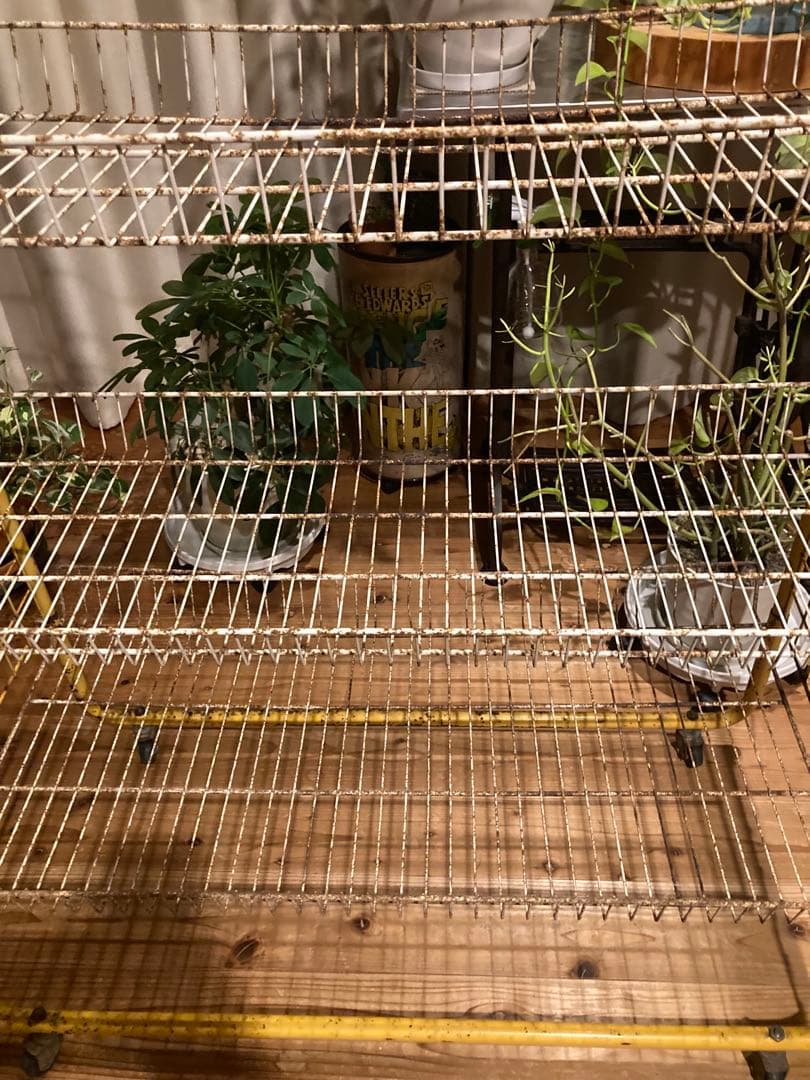 昭和レトロ　ワイヤーラック4段仕様　店舗什器　ガーデニング　シャビーラック11