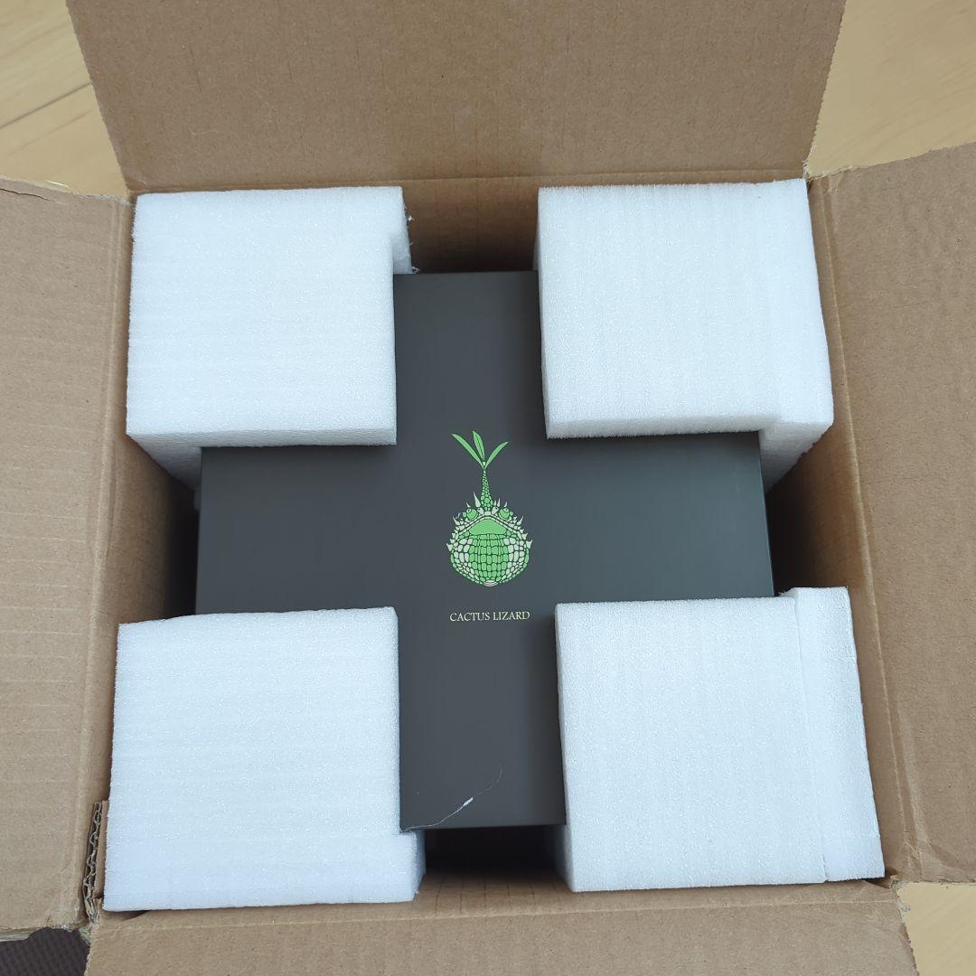 観葉植物　コーデックス　グラキリス　アガベ　オベサ　爬虫類フィギュア