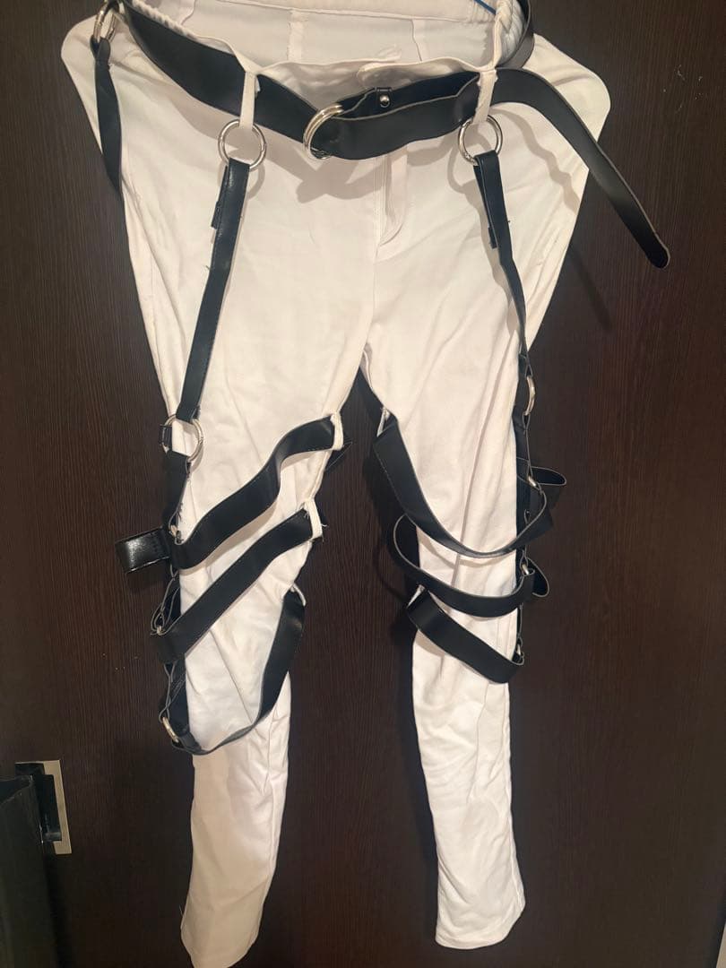 【売り切りたい為値下げ】にじさんじ 緋八マナ フルセット ヒロス ウィッグセット