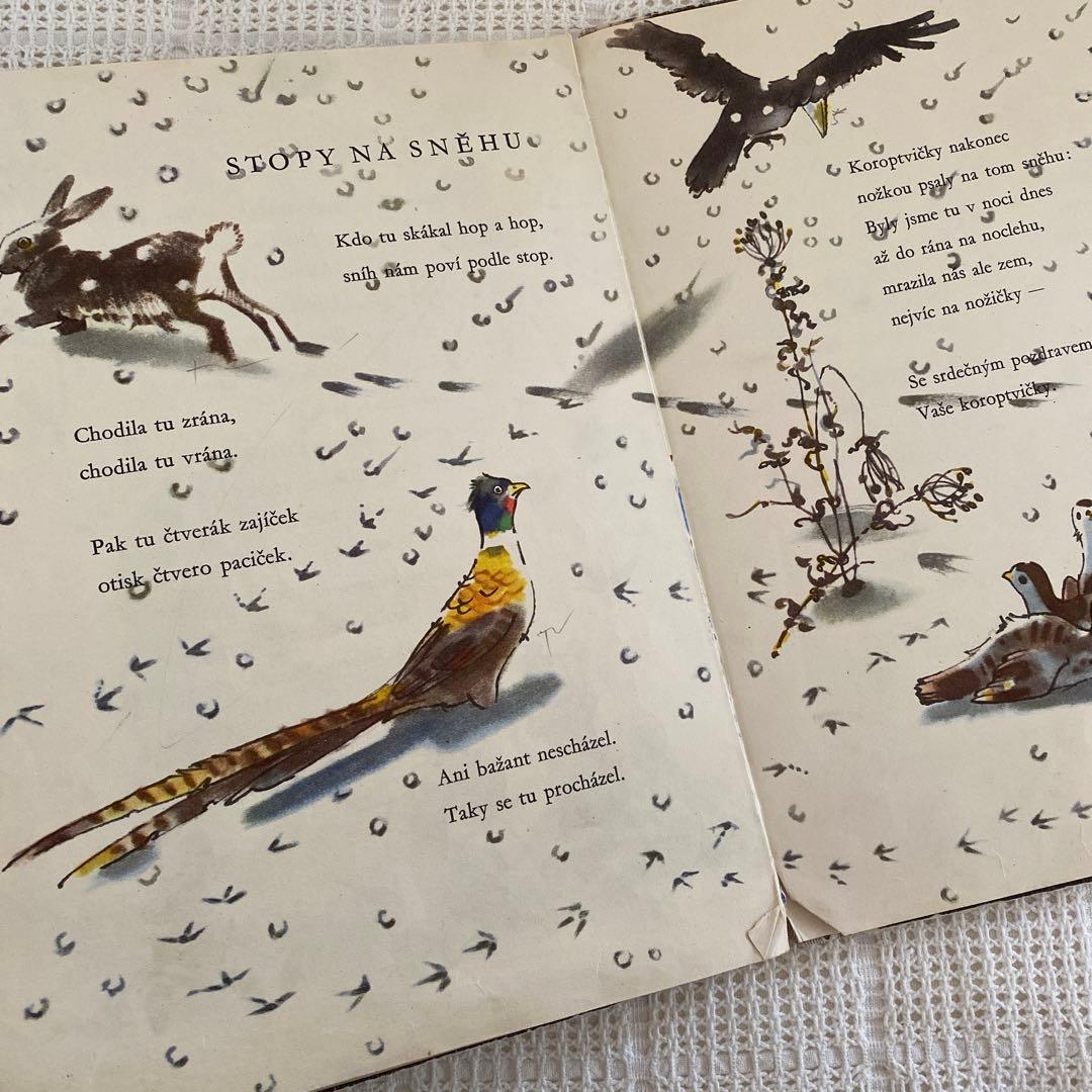 【超希少】初版 チェコの古い絵本 アドルフ・ザーブランスキー 東欧雑貨