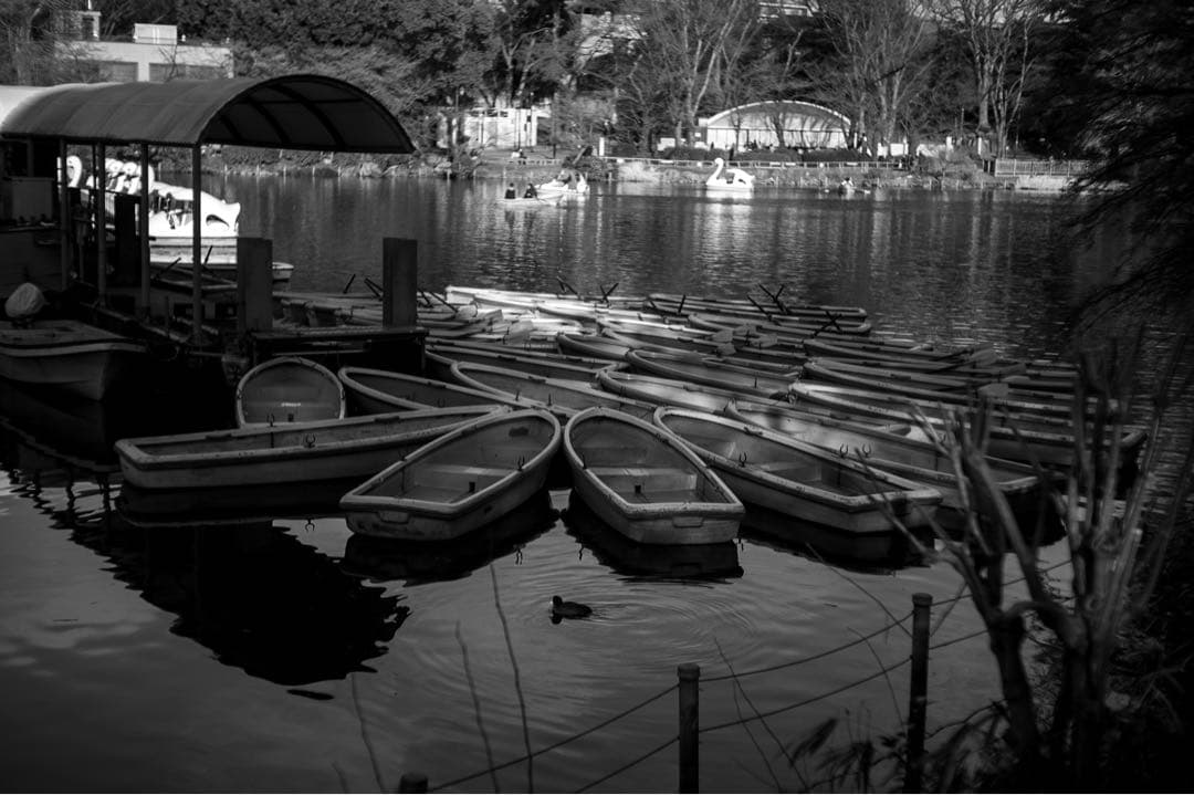 Elmar 90mm f4 All Chrome オールクローム