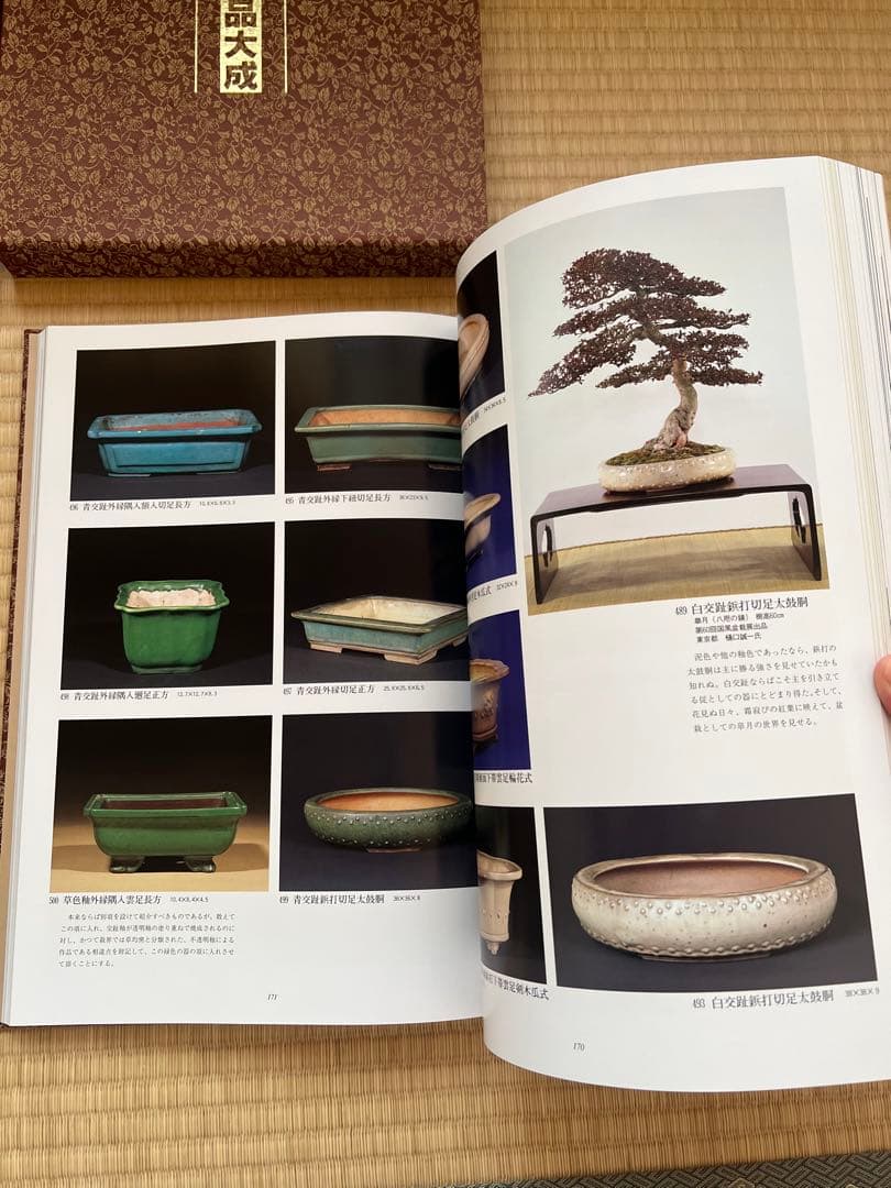 【美品・函付】美術盆器名品大成 中国編／日本編 全2冊｜大型本・盆栽資料
