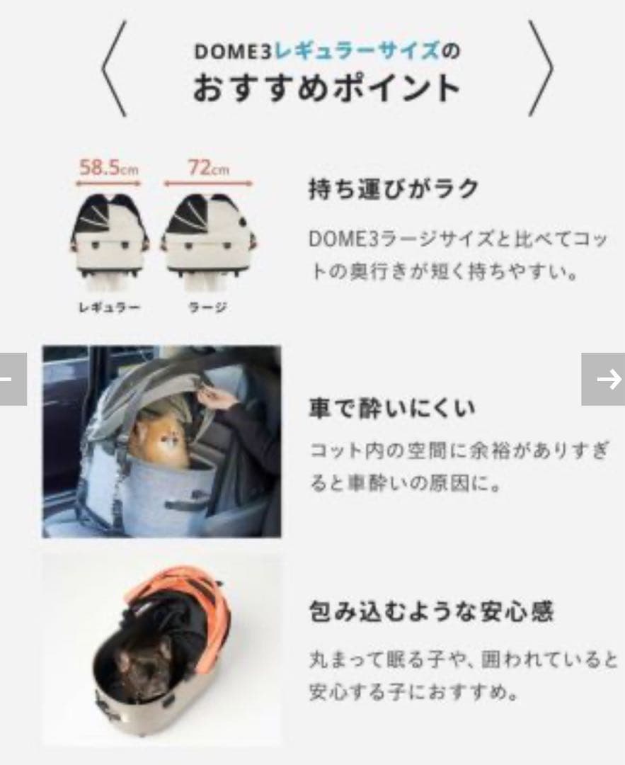 美品　オマケ多数　エアバギー　ドーム3　レギュラー　クローバー♣️