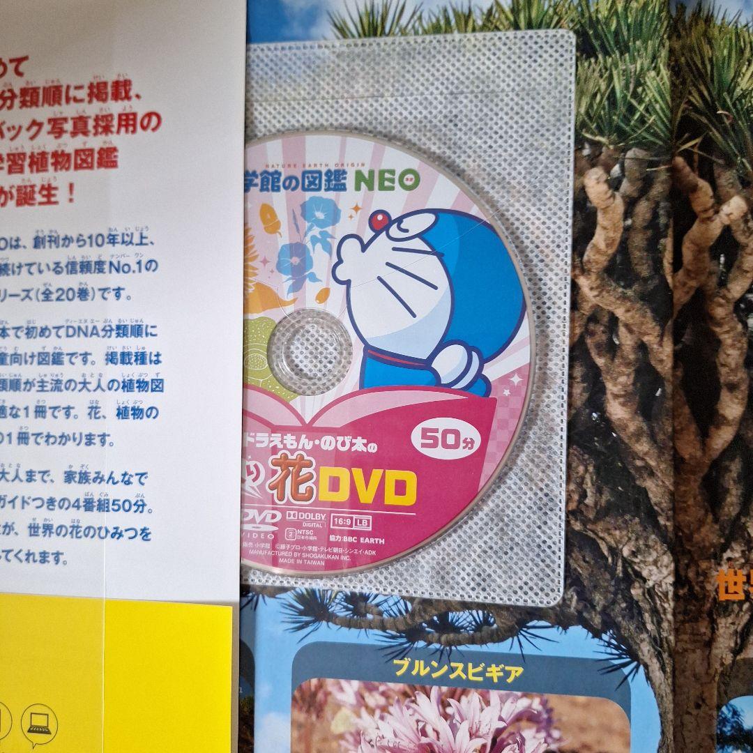 るり　小学館　図鑑　NEO 魚　他　全5冊
