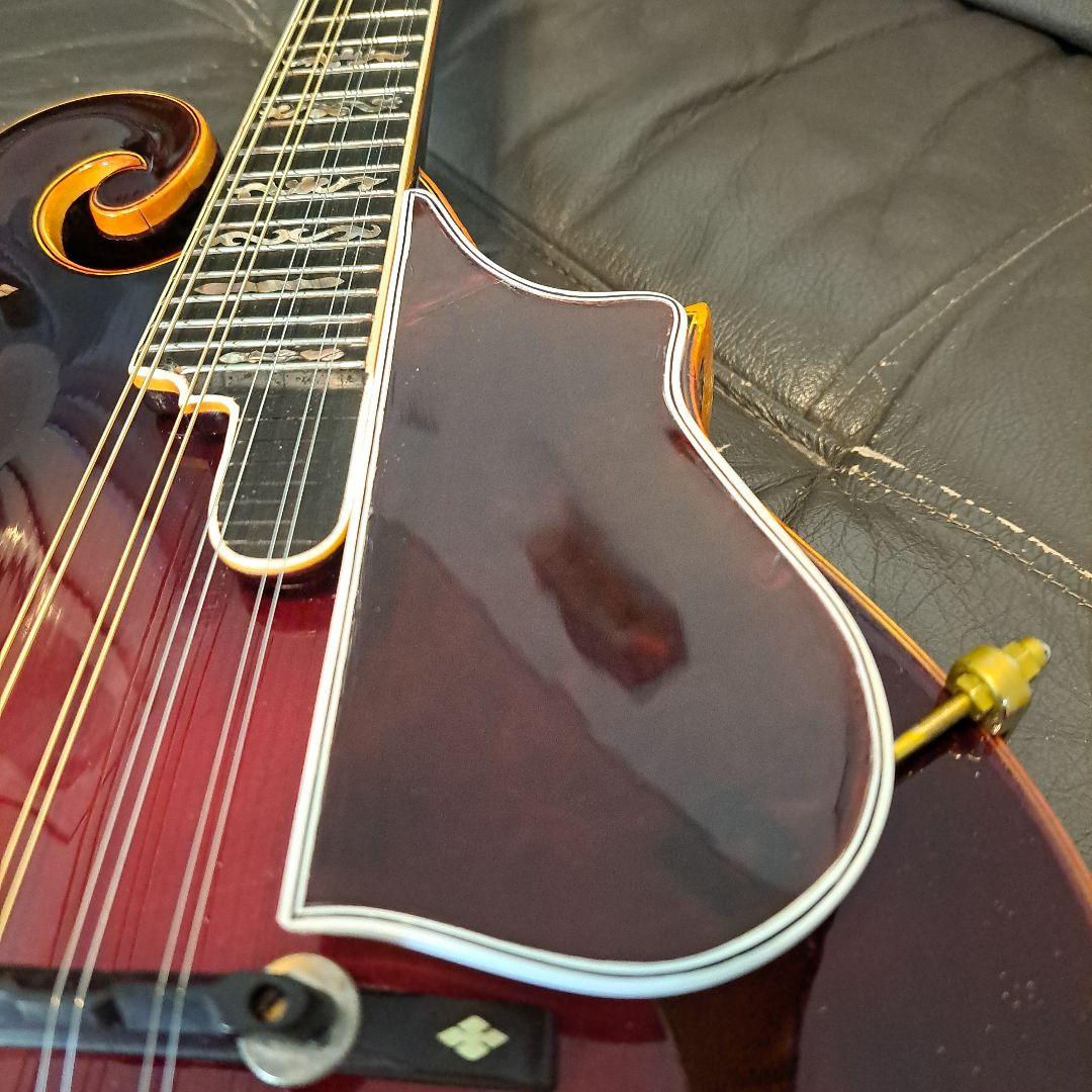 超希少！アイバニーズ 524ヴィンテージ、フラットマンドリン！