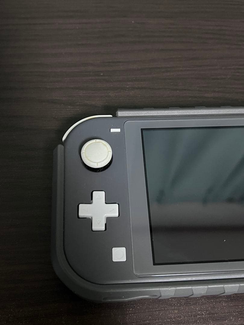 Nintendo Switch Lite グレー 本体 充電器・ケース付き