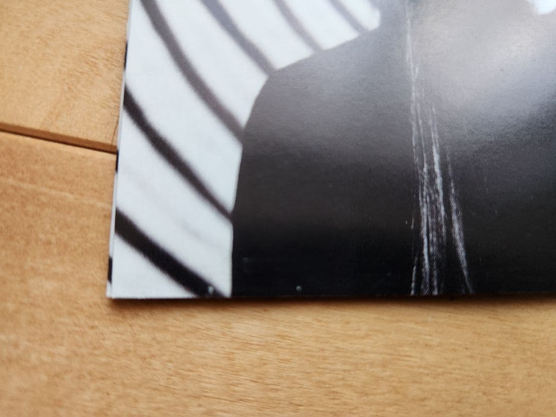 ゆらゆら帝国 / ゆらゆら帝国 インディーズ2nd　帯あり　歌詞カードあり