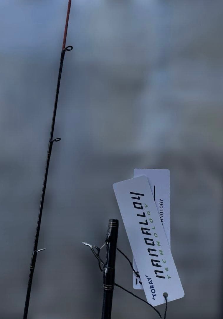 絆 ダイワ 紅牙 TYPE-D 610HB スリルゲーム