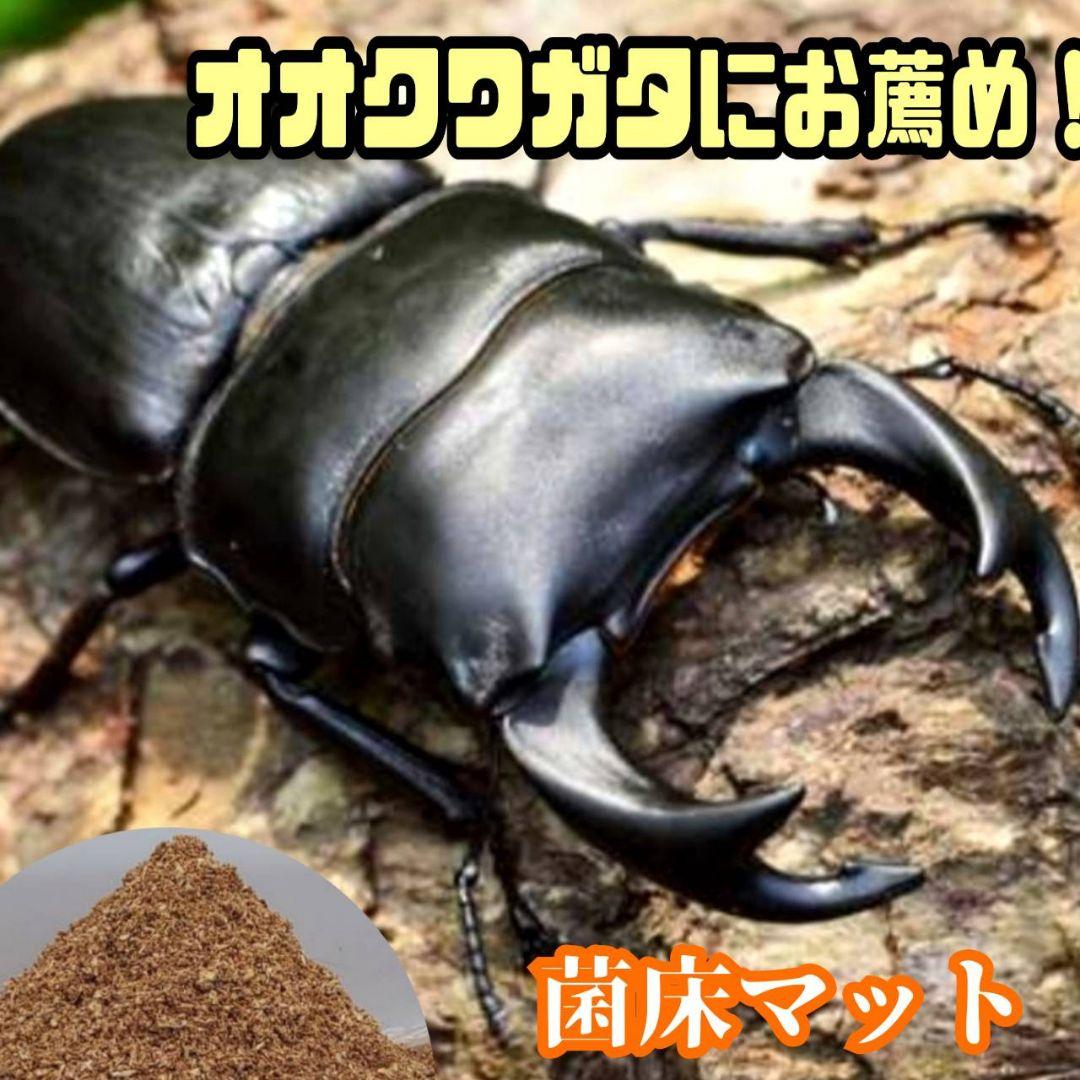 菌床粉砕クワガタマット【30L】ボトルやカップに詰めるだけ！菌糸瓶より経済的！