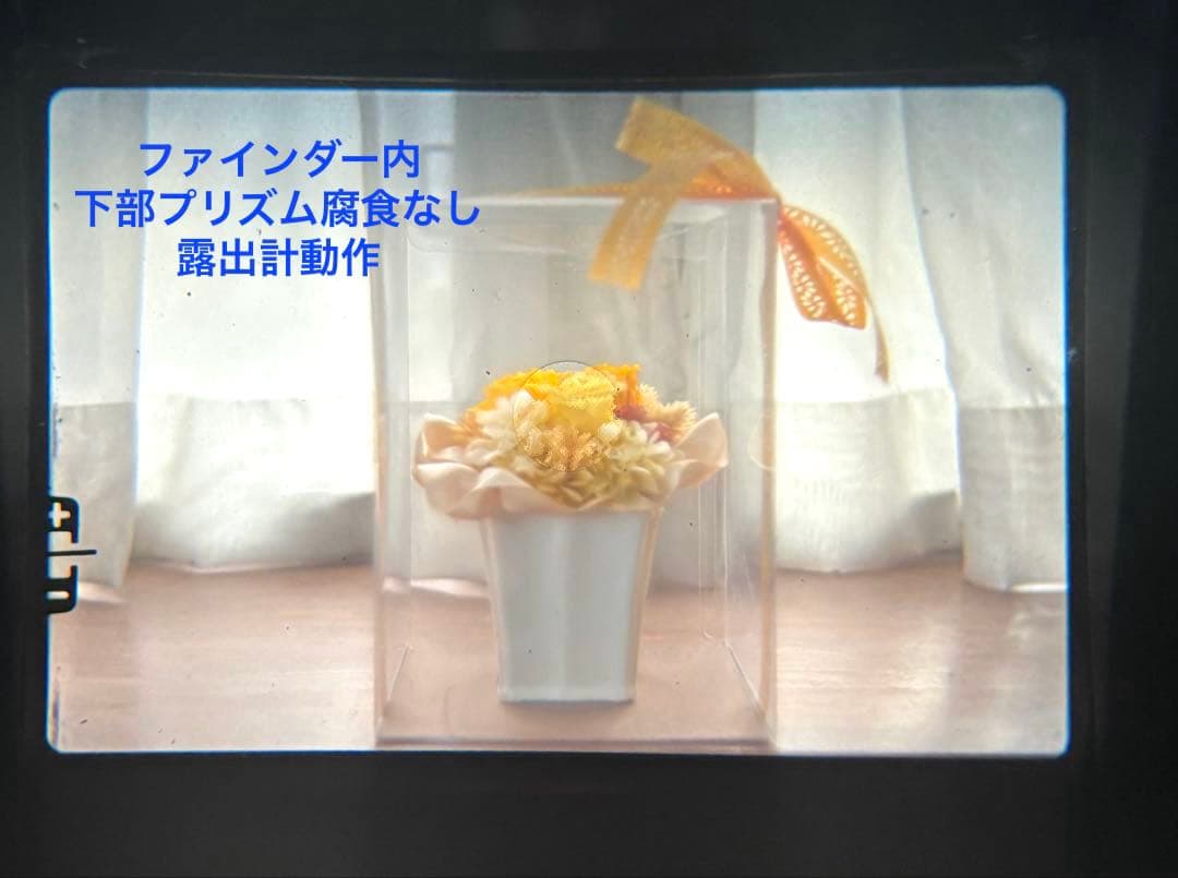 ★ OLYMPUS OM-1 + ★ 標準レンズ 50mm F1.4