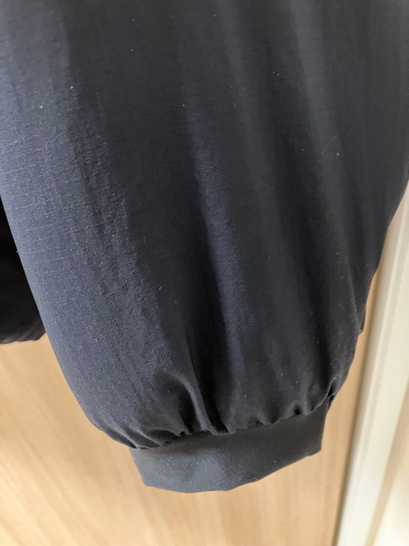 Arc'teryx ATOM AR HOODY アトム AR フーディ