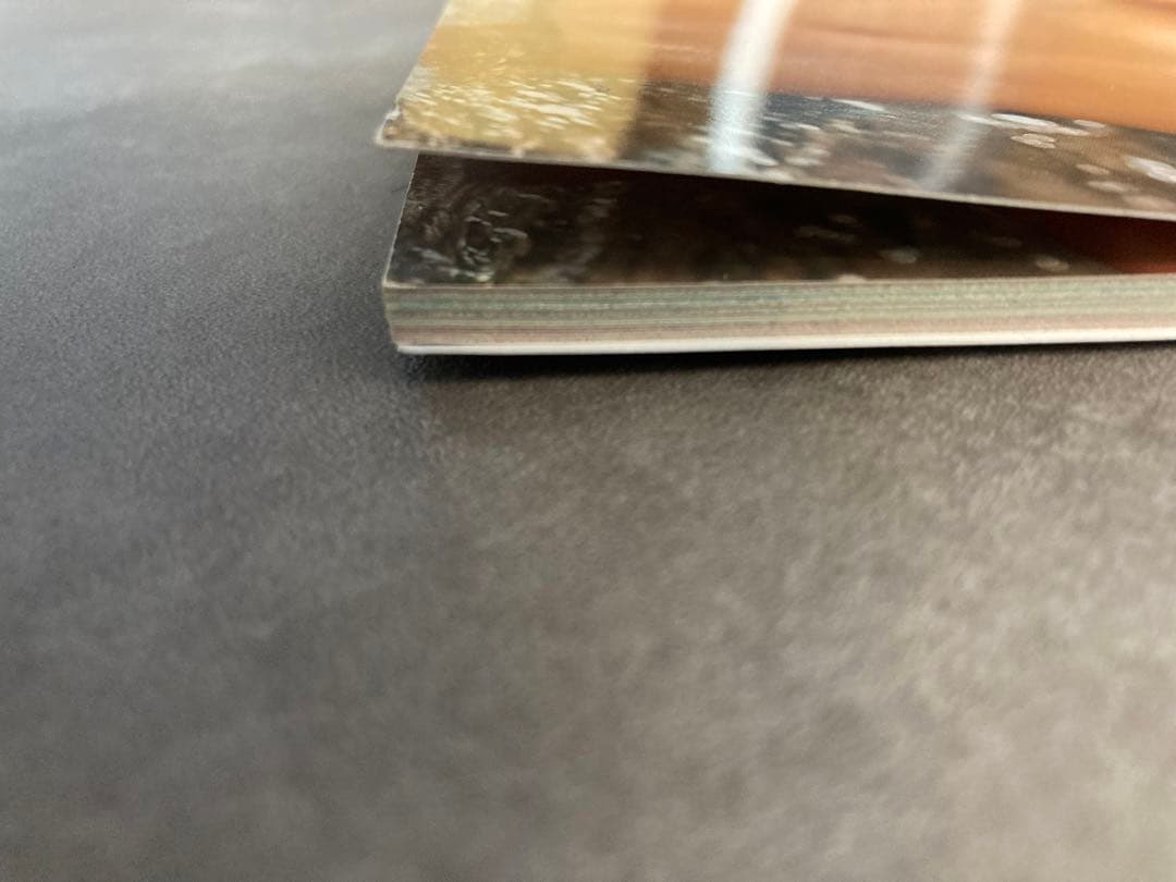 PLAYBOY'S NUDES 特別版　2008年