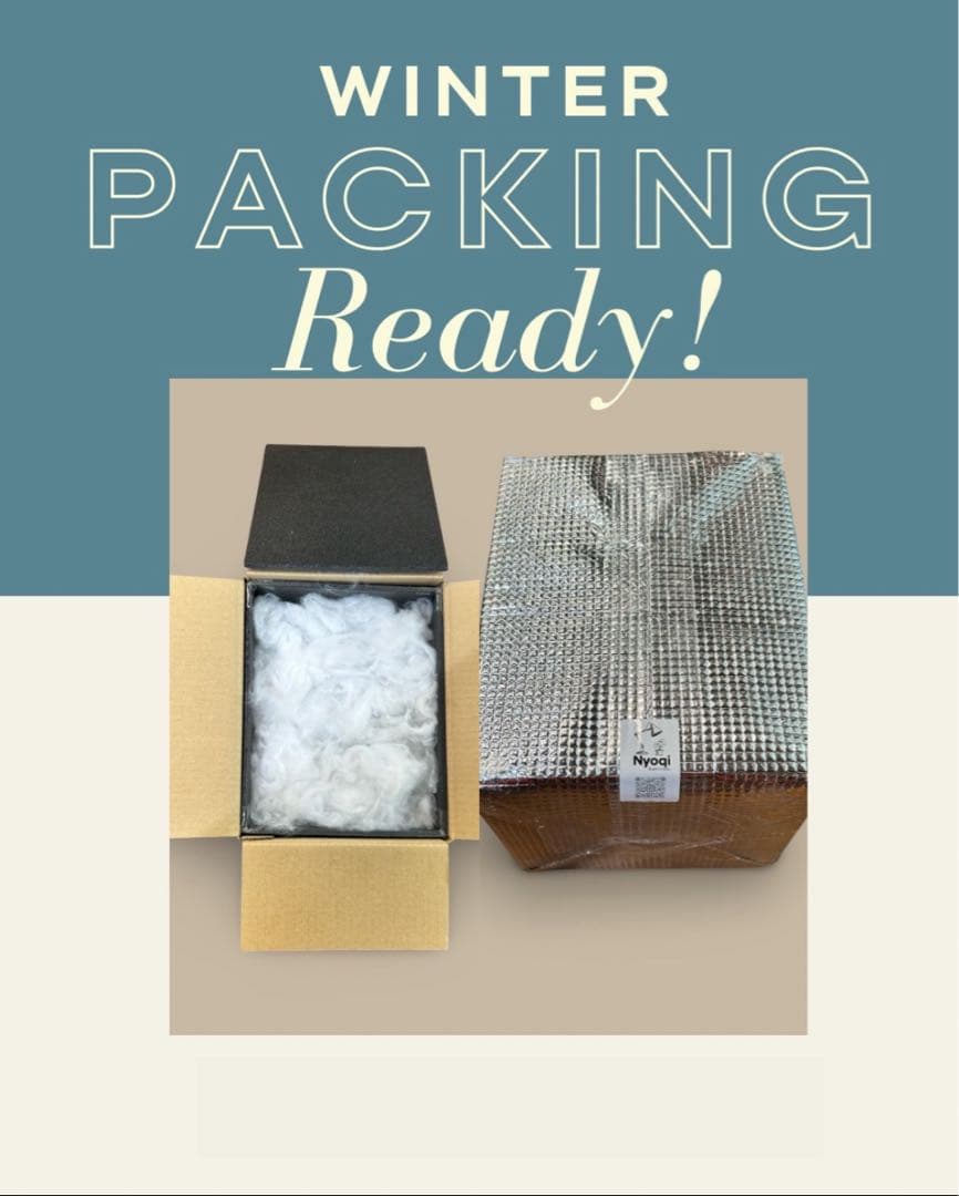 【メルカリ便】P. Willinckii (spore) 【47】