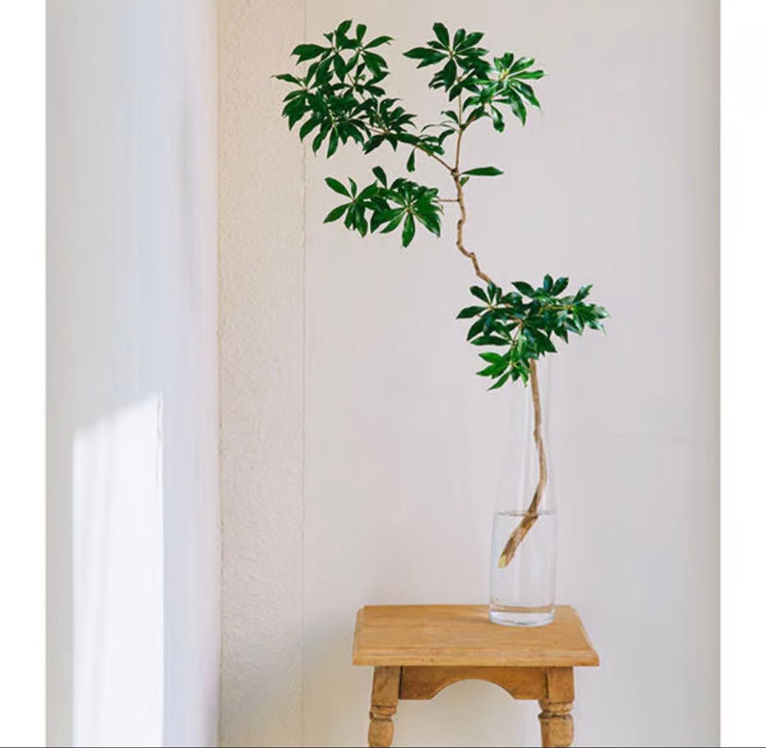 ※バケツ型のみ　ミモレ別注　Sghr スガハラ　フラワーベース２種セット