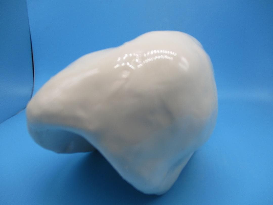 オッドアイの白猫ウィンスタンレイ ケンジントン キャット サイズ2 NO7