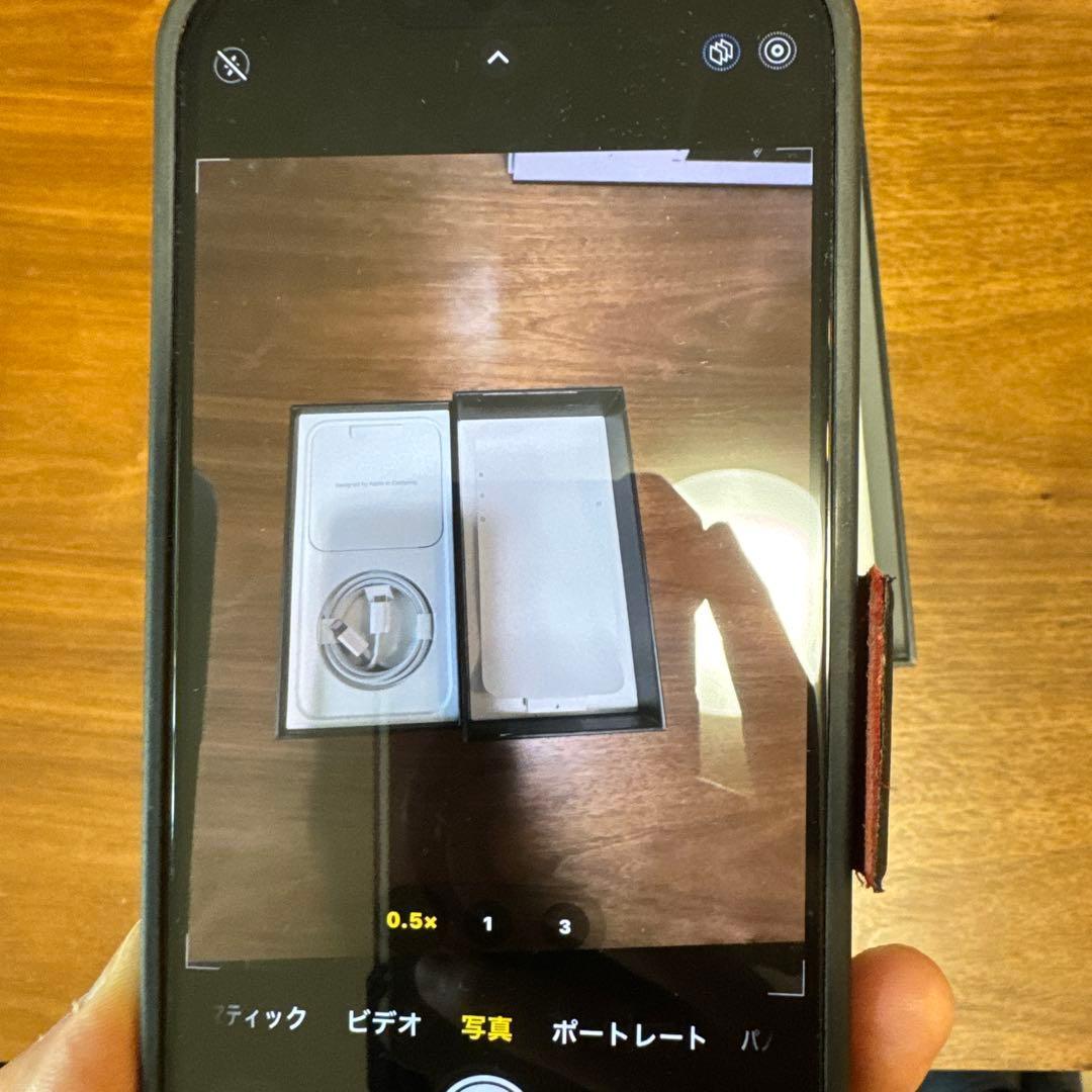 【美品】iPhone 13 Pro Max 256GB SIMフリー（おまけ付）