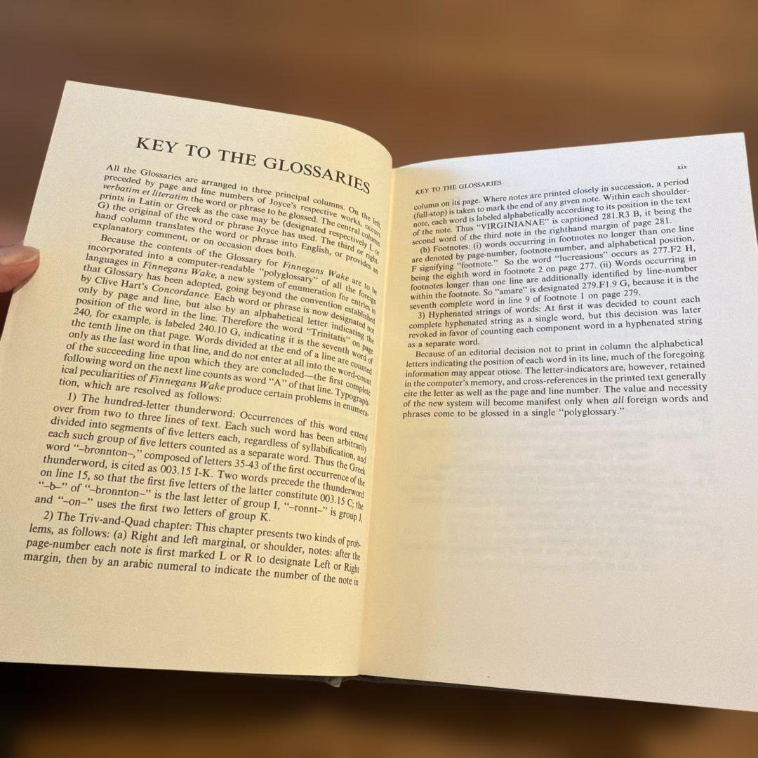 洋書 A Classical Lexicon for Finnegans Wake