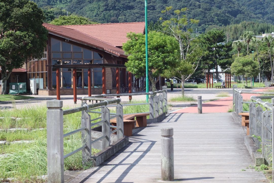 ★希少★ OLYMPUS \"M-SYSTEM\" 標準レンズ 50mm F1.4