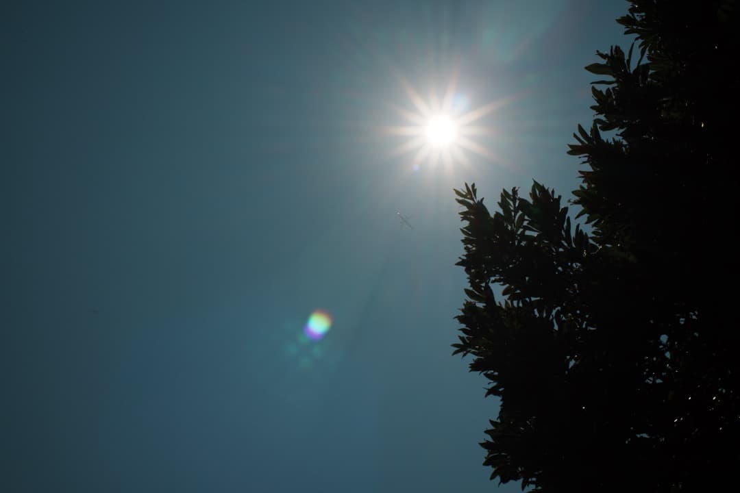 【整備＆テスト済】Nikon Ai Nikkor 50mm F1.2 199