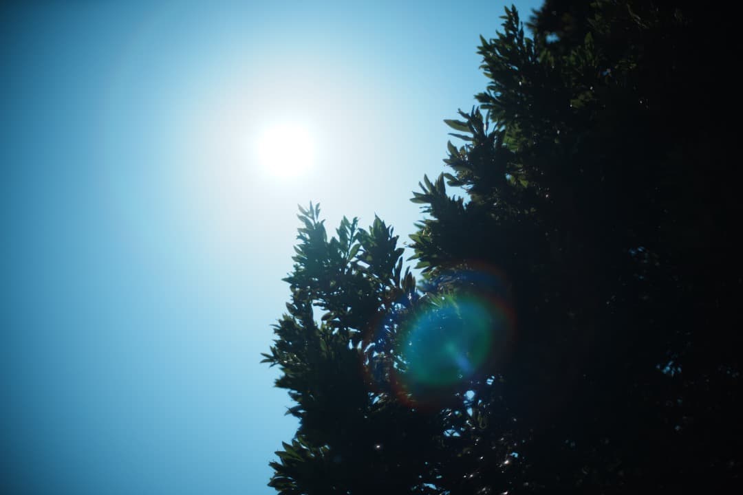 【整備＆テスト済】Nikon Ai Nikkor 50mm F1.2 199