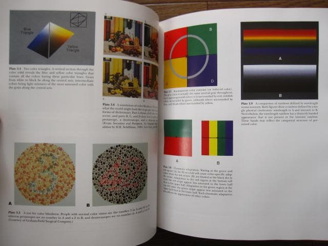 洋書 Vision Science / Stephen E. Palmer